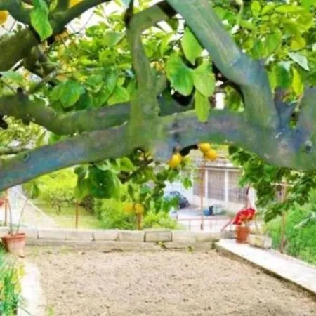 Giardino. Bilocale Grande A 800 M Dal Mare. 4 Posti Letto. Апартаменты *